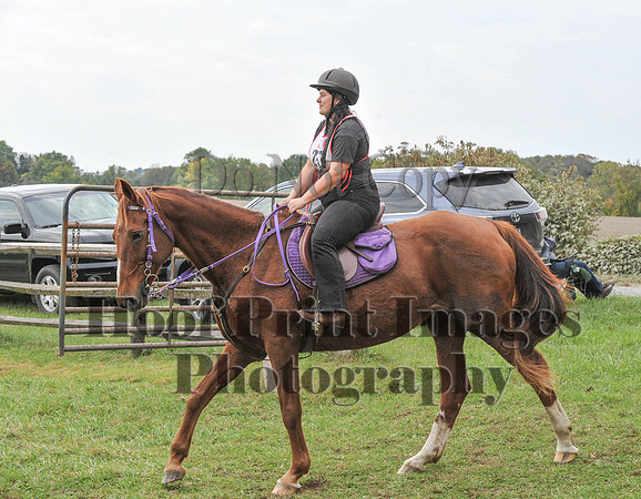 CheshirePC(10-16-16)0240
