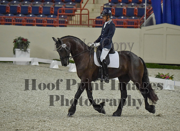 CWdressageI(8-20-16)0284