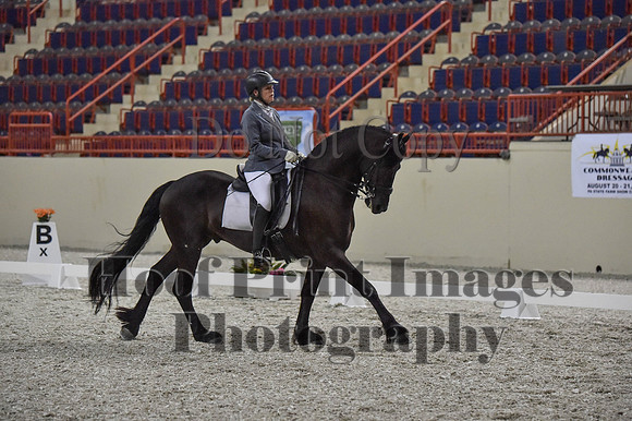 CWdressageI(8-20-16)1234