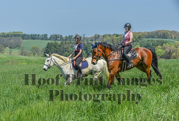 CheshireSpringPC1(4-28-24)0332