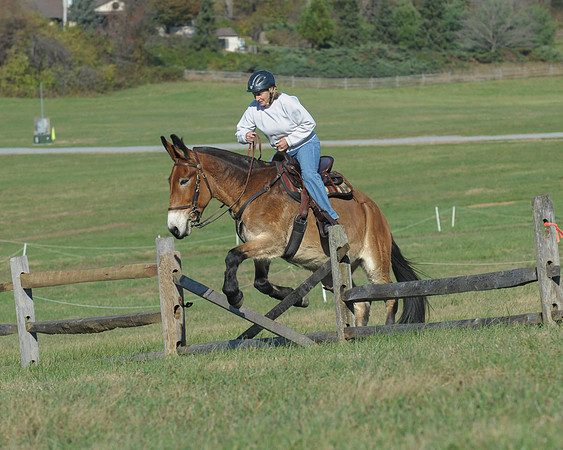 BHPC(11-15-15)0515