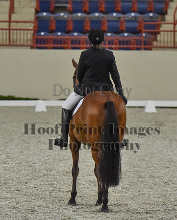 CWdressageI(8-20-16)0377