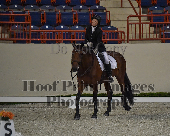 CWdressageII(8-21-16)0507