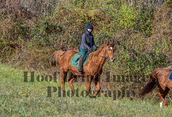 FairHillFallPC(11-30-24)0129