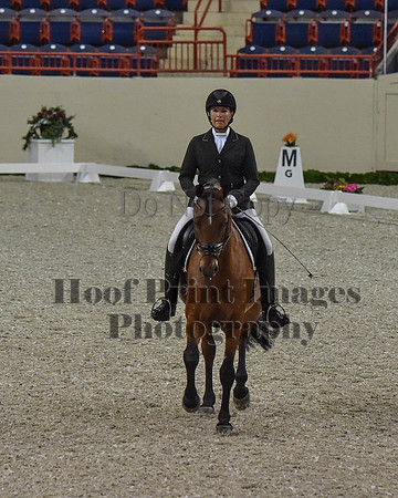 CWdressageII(8-21-16)0146