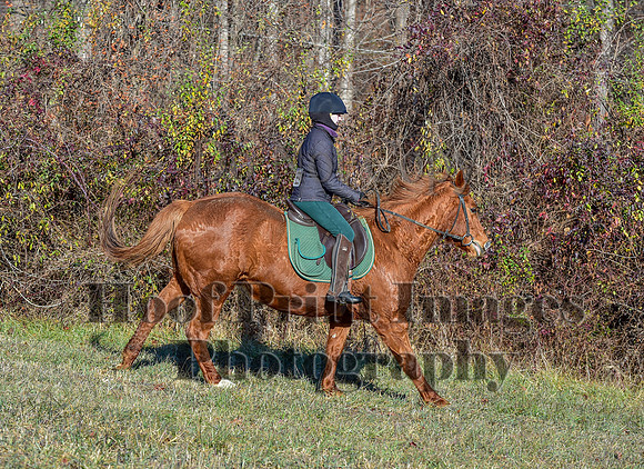 FairHillFallPC(11-30-24)0139