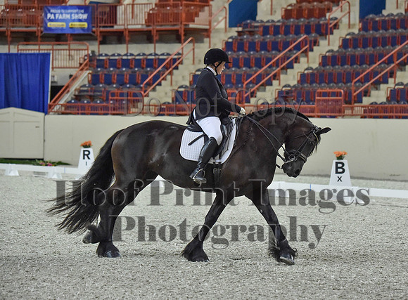 CWdressageI(8-20-16)0899