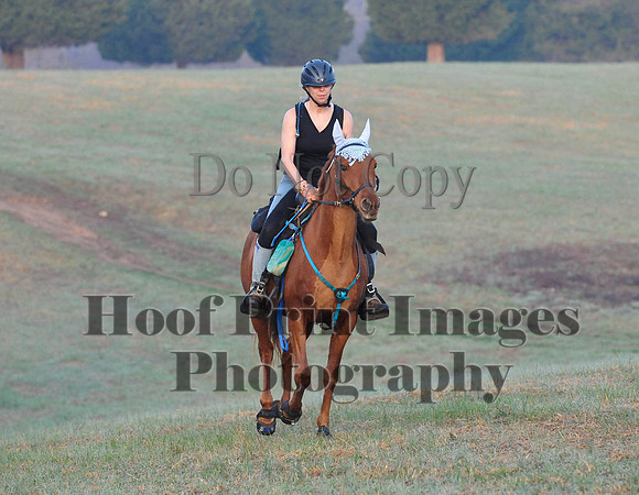 Foxcatcher(4-12-14)0143