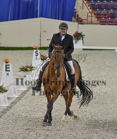 CWdressageI(8-20-16)0227