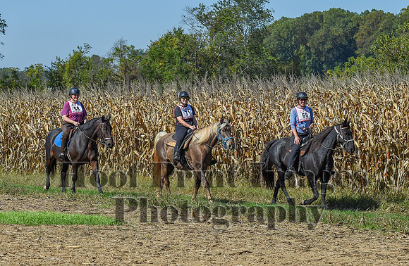 CheshirePonyClubPC(10-6-24)0234