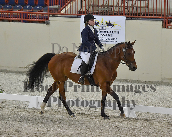 CWdressageII(8-21-16)2124