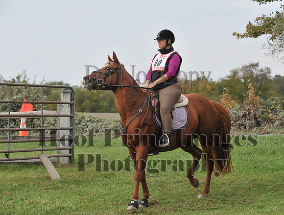 CheshirePC(10-16-16)0051