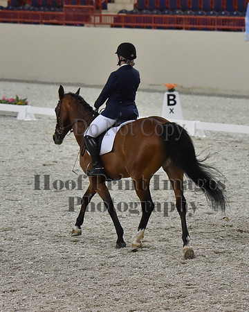CWdressageII(8-21-16)2097