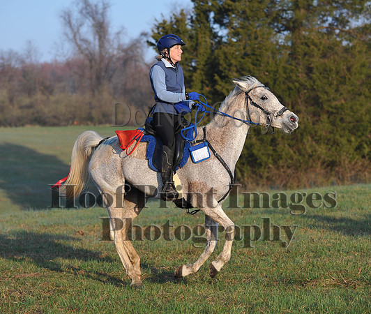 Foxcatcher(4-12-14)0432