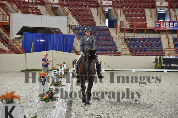 CWdressageI(8-20-16)0929