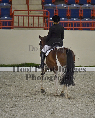 CWdressageII(8-21-16)1099