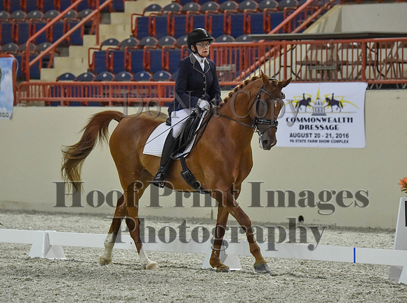 CWdressageI(8-20-16)0784