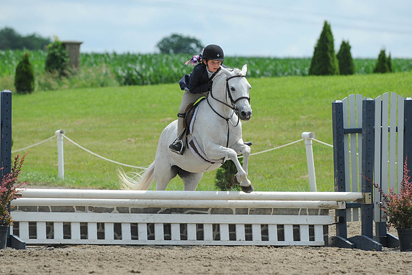 SC(6-28-14)SMPony0089