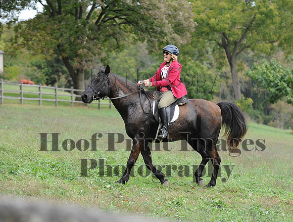 CheshirePC(10-16-16)0539