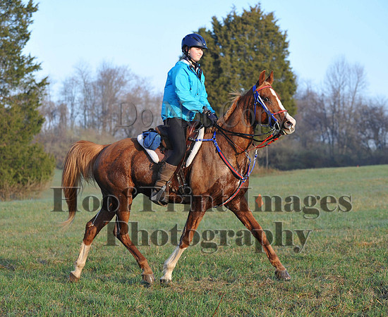 Foxcatcher(4-12-14)0457