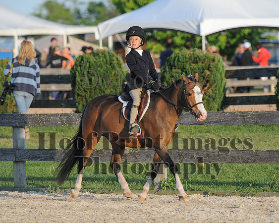 BRSa(5-17-14)SMChP0116