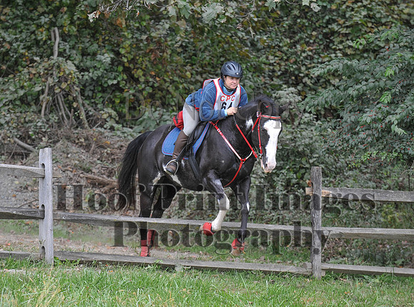 CheshirePC(10-16-16)0135