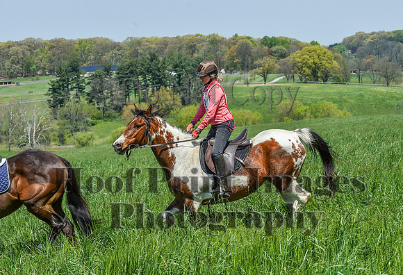 CheshireSpringPC1(4-28-24)0465