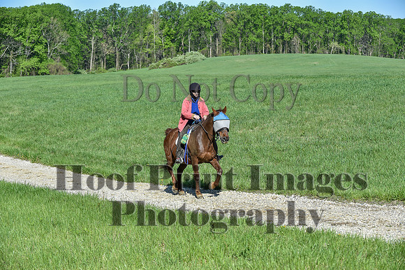 ChesapeakeSpring(4-27-25)0461