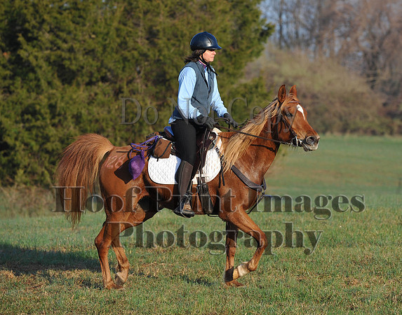 Foxcatcher(4-12-14)0539