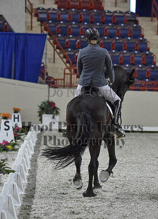 CWdressageI(8-20-16)1222