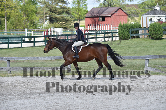 StCSun(5-15-16)PrAd0188