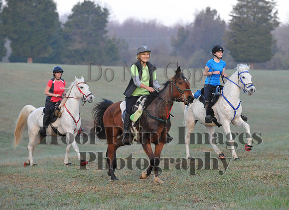 Foxcatcher(4-12-14)0060