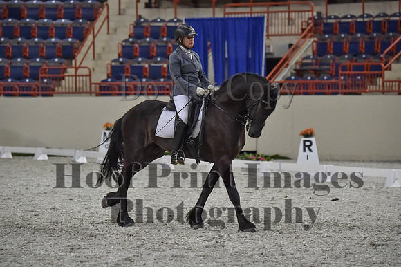 CWdressageI(8-20-16)1233