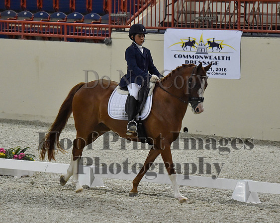 CWdressageII(8-21-16)2030