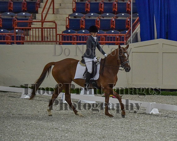 CWdressageII(8-21-16)0107