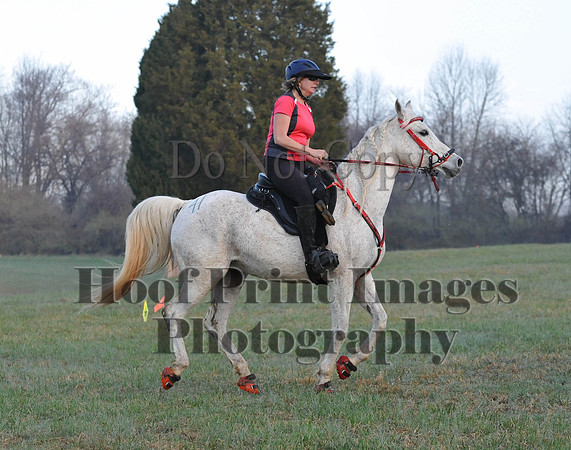 Foxcatcher(4-12-14)0067