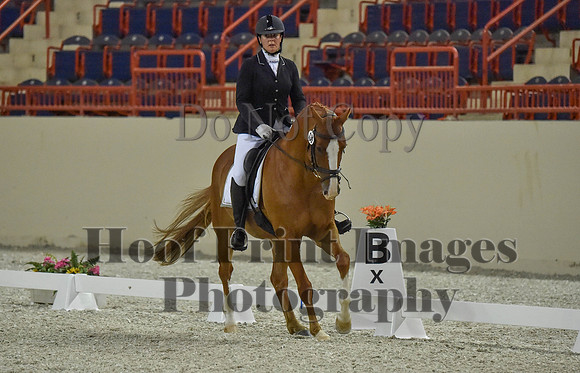 CWdressageI(8-20-16)0514