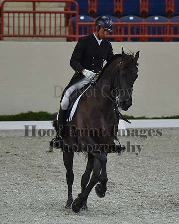 CWdressageII(8-21-16)1807