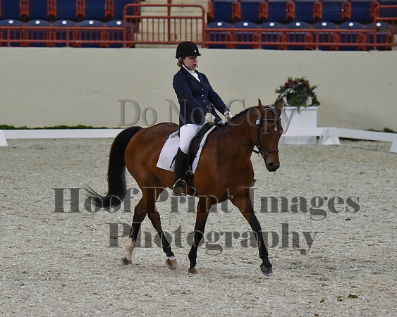 CWdressageII(8-21-16)2098