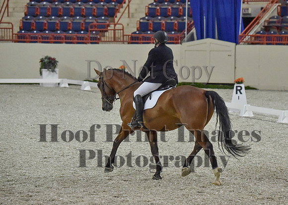 CWdressageI(8-20-16)0232