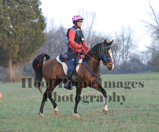 Foxcatcher(4-12-14)0185