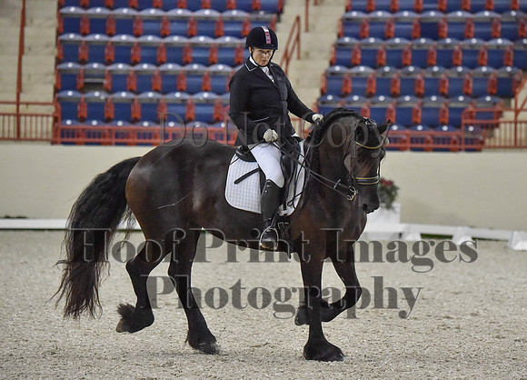 CWdressageI(8-20-16)0895