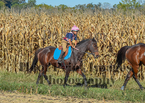 CheshirePonyClubPC(10-6-24)0050