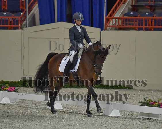 CWdressageII(8-21-16)1132