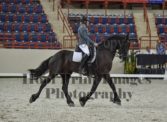 CWdressageI(8-20-16)1236