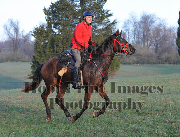 Foxcatcher(4-12-14)0366