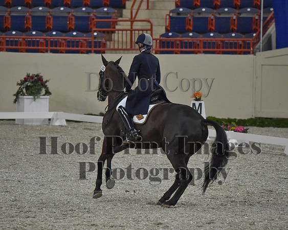 CWdressageII(8-21-16)0717