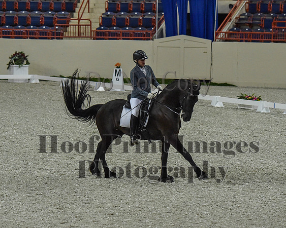 CWdressageII(8-21-16)0201