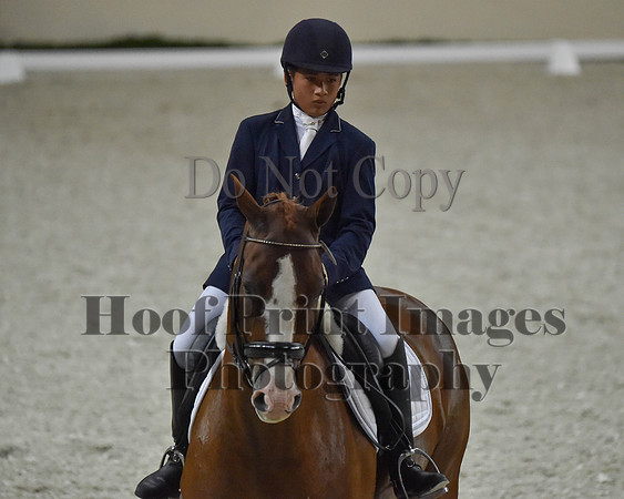 CWdressageII(8-21-16)1989