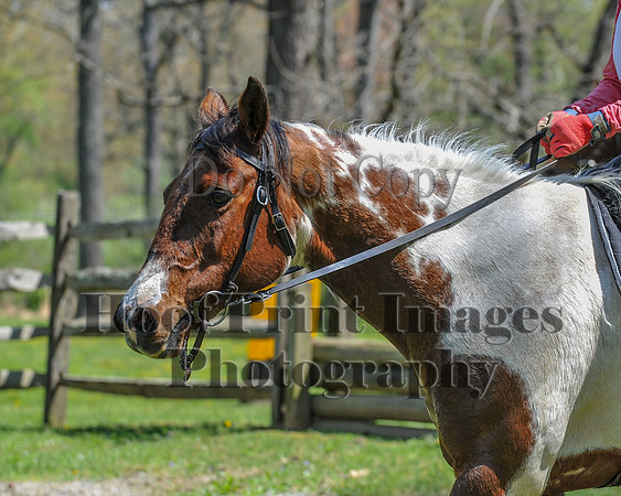 CheshireSpringPC2(4-28-24)0354